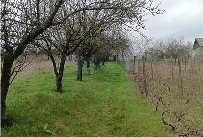 Aroneanu - Dorobant TEREN 46000mp PUZ realizat 59 de case la str principala cu toate utilitatile - 9