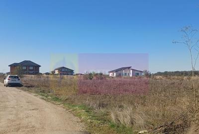 Teren de 6293 mp, în Săbăreni - 5