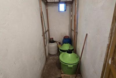 Casă cu 3 camere în Peceiu - 3