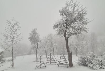 Teren de 2900 mp, în Secăria - 1