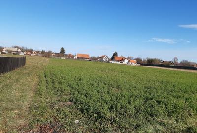 Teren intravilan central utilitati construibil Lunca Calnicului 2325mp - 4