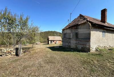 Teren de 14000 mp, în Vințu de Jos
