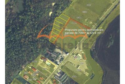 Teren Construcții intravilan de 14684 mp, în Nord-Vest - 2