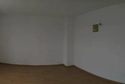 Casă cu 5 camere cu Teren 1340 Mp în Radu Negru - 4