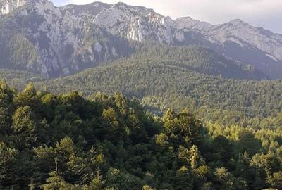 Spațiu comercial, în Plaiul Foii - 5