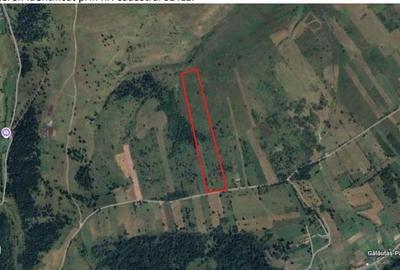 Spațiu comercial, în Hodoșa - 1