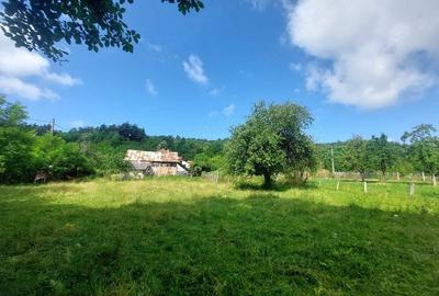 Teren de 1700 mp, în Vlădești - 1