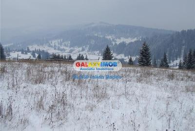 Teren pentru Complex Turistic - 12 730 mp  - Vatra Dornei - 7