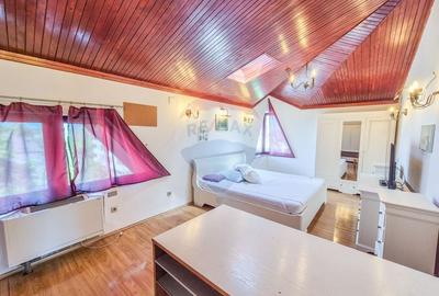 Apartament cu 4 camere semidecomandat, mobilat în Domenii - 4