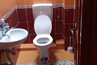 Casă cu 3 camere în Sovata - 6
