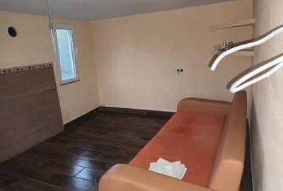 Casă cu 1 camere cu Teren 4000 Mp în Central - 4