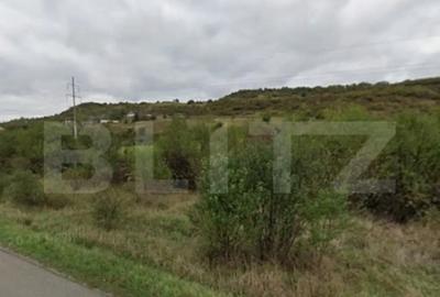 Teren de 8500 mp, în Unirea