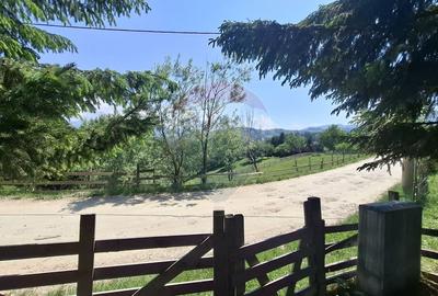 Casa de vacanta in Magura, la poalele Muntilor Piatra Craiului - 17