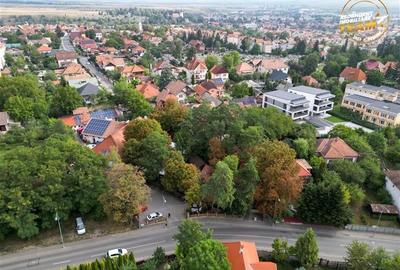 Complex Gastronomic:Afacere la cheie, Restaurant traditional secuiesc+teresa eve - 25