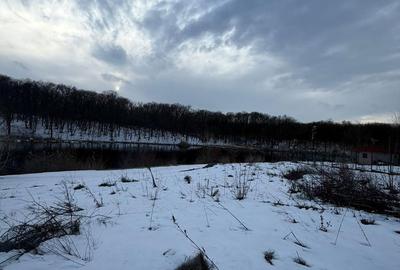 Spațiu comercial, în Brănești - 8