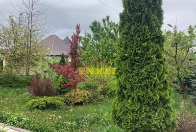 Casă individuală cu 5 camere cu Canalizare în Exterior Vest - 6