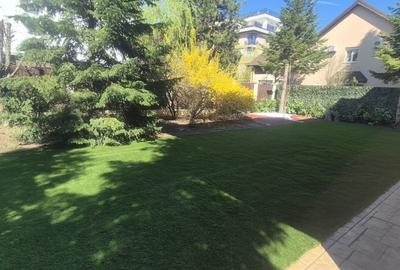 Casă cu 5 camere cu Canalizare în Iancu Nicolae - 1