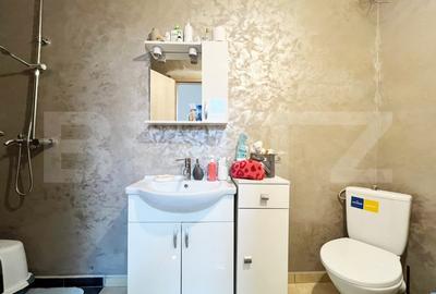 Apartament cu 3 camere + mansarda, 154 mp, Lunca Cetatuii - 11