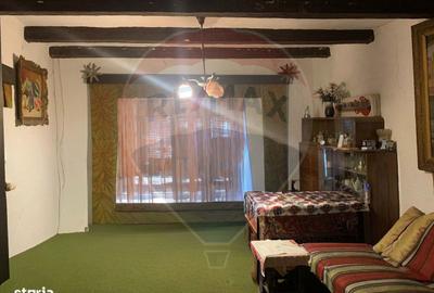 Casă cu 3 camere cu Teren 1090 Mp în Avram Iancu - 14