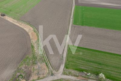 Teren de vanzare – Ghimbav, Brasov | 9.400 mp - 1