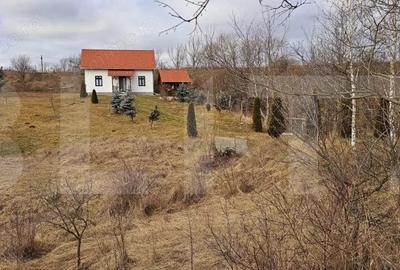 Casă cu Teren 2000 Mp în Arcuș - 11