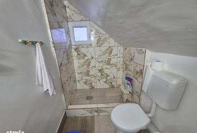 Casă cu 2 camere cu Teren 5135 Mp în Dobreni - 10