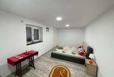 Spatiu comercial casa parter 104mp cu toate utilitatile in Catargiu - 4