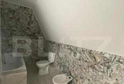 Case de vanzare in Unirea - 17
