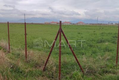 Teren de 30000 mp, în Prejmer - 3