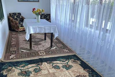 Vand casa batraneasca Sat Breznicioara Comuna Stangaceaua jude?ul Mehedin?i - 3