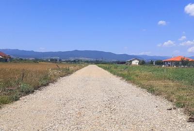 Teren de 600 mp, în Ciugud - 3