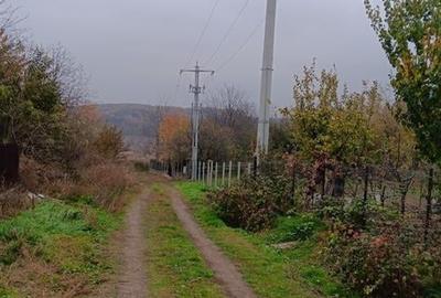 Valea ursului, TEREN 1000mp. utilitati la limita terenului - 4