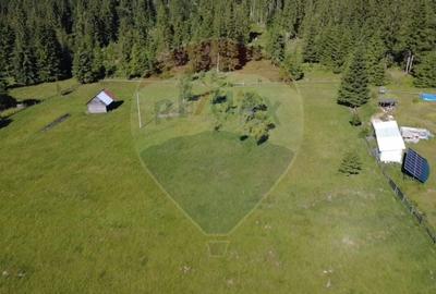 Teren Construcții intravilan de 19370 mp, în Neagra Șarului - 5