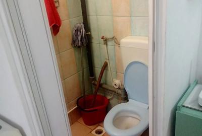 Garsonieră decomandată în Nufărul - 3