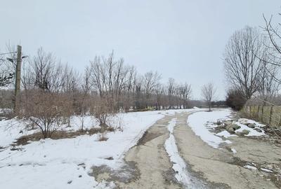 Teren industrial in Parcul Industrial Ploiesti, 5,89 ha, ECX78995 - 7