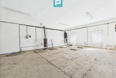 Cladire cu 5 camere cu teren ?i hala in Cenad - 8