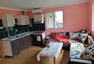 Casă cu 3 camere în Radu Negru - 3