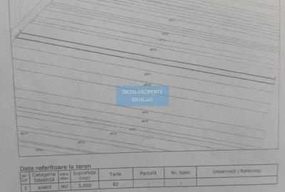 Teren extravilan 5000 mp – deschidere DN5 - 2