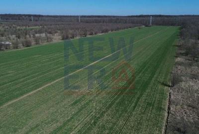 Teren de vanzare, Sabareni - 2