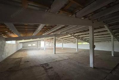 Spațiu comercial, de 200 mp, în Siliștea Snagovului - 10