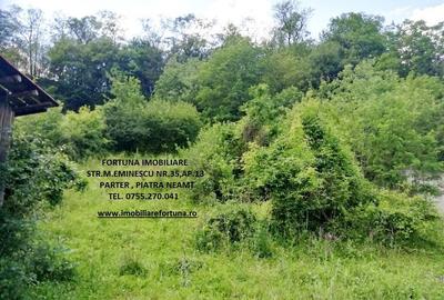 Teren 2000 mp, str.Nicu Albu, cadru natural superb Teren 2000 mp, str.Nicu Albu, cadru natural superb - 3