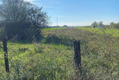 Teren zona Bujac - 4