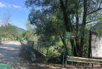 Teren de 3600 mp, în Șopotu Nou - 8