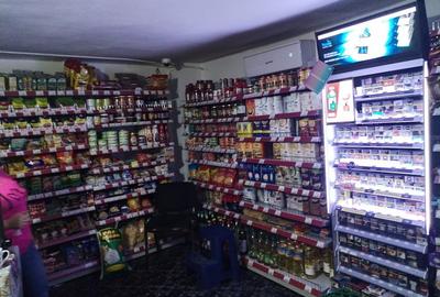 Spațiu comercial, în Burila Mică - 2