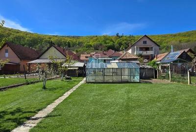 Casă cu 4 camere în Viilor - 11