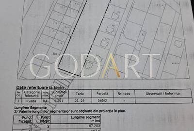 Teren Construcții intravilan de 5291 mp, în Viforâta - 2
