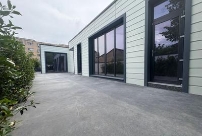 Spa?iu comercial-Str. 30 Decembrie-zona intens circulata - 15