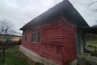 Casă cu Teren 2649 Mp în Vărbila - 5