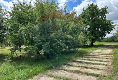 3.7 ha TEREN INTRAVILAN cu CASA si BALTA PESTE - 6