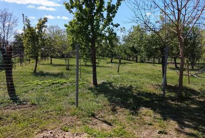 Casă cu 3 camere cu Teren 1347 Mp în Central - 4